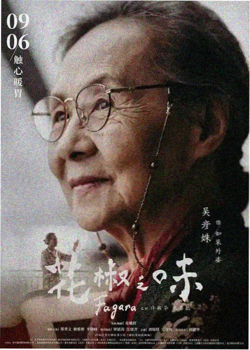 繁花似锦 - 手机看剧软件都市情感剧